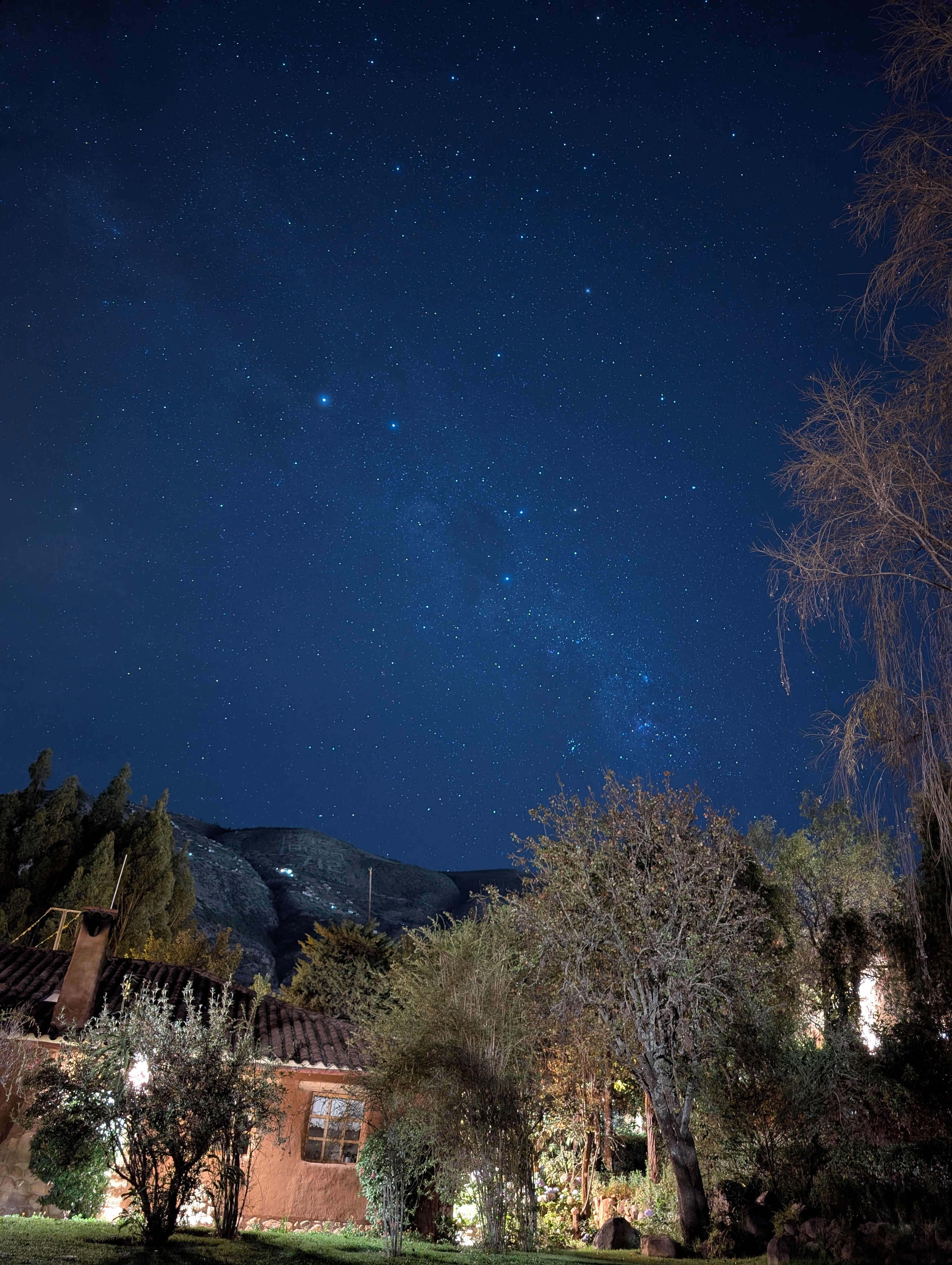 Galactic Core with Trees